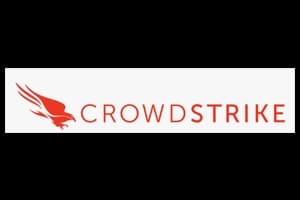 Crowd Strike