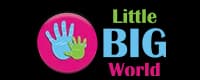 Little Big World