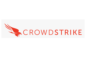 Crowd Strike